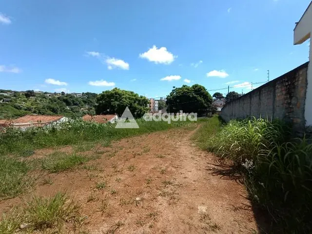 Terreno com 545m², à venda, no bairro Estrela em Ponta Grossa