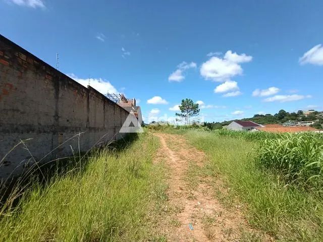 Terreno com 545m², à venda, no bairro Estrela em Ponta Grossa