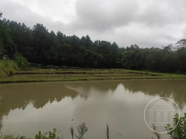 Terreno com 12068m², à venda, no bairro Jardim Eucaliptos em São Paulo
