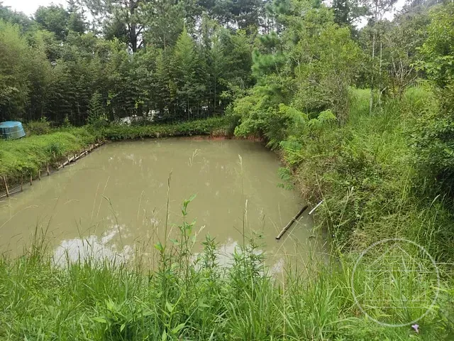 Terreno com 12068m², à venda, no bairro Jardim Eucaliptos em São Paulo