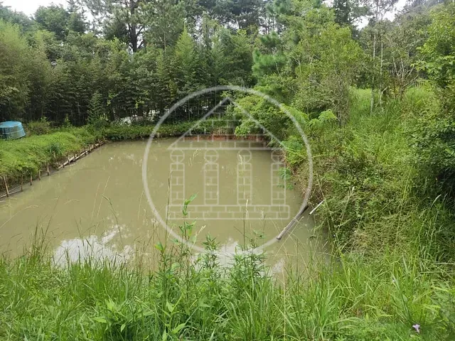 Terreno com 12068m², à venda, no bairro Jardim Eucaliptos em São Paulo