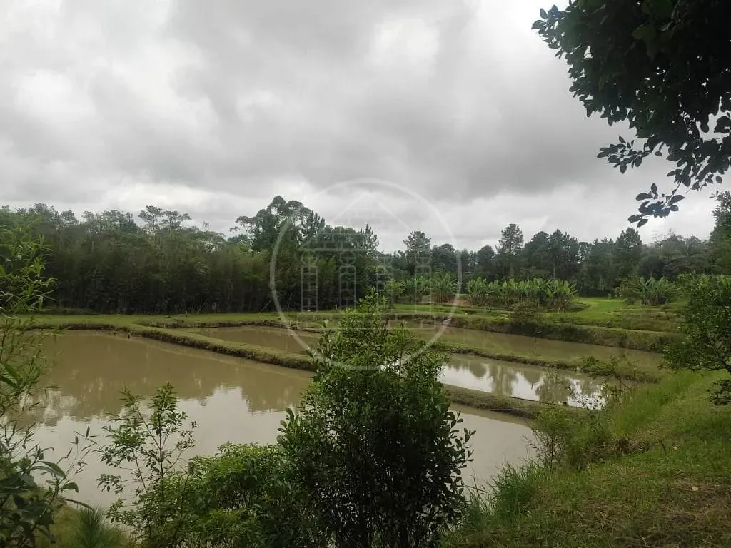 Terreno, 1 hectares - Foto 46
