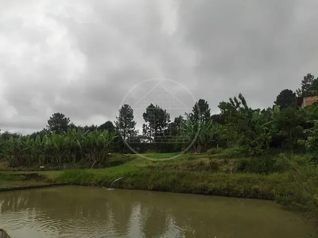 Terreno com 12068m², à venda, no bairro Jardim Eucaliptos em São Paulo