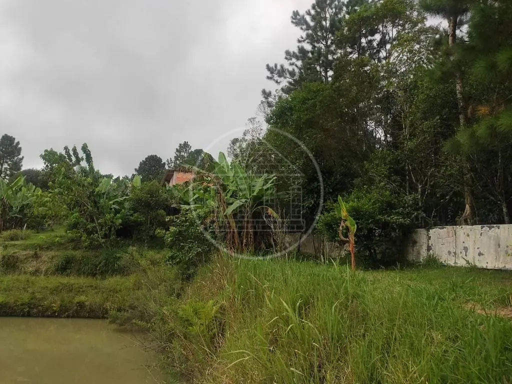 Terreno, 1 hectares - Foto 82