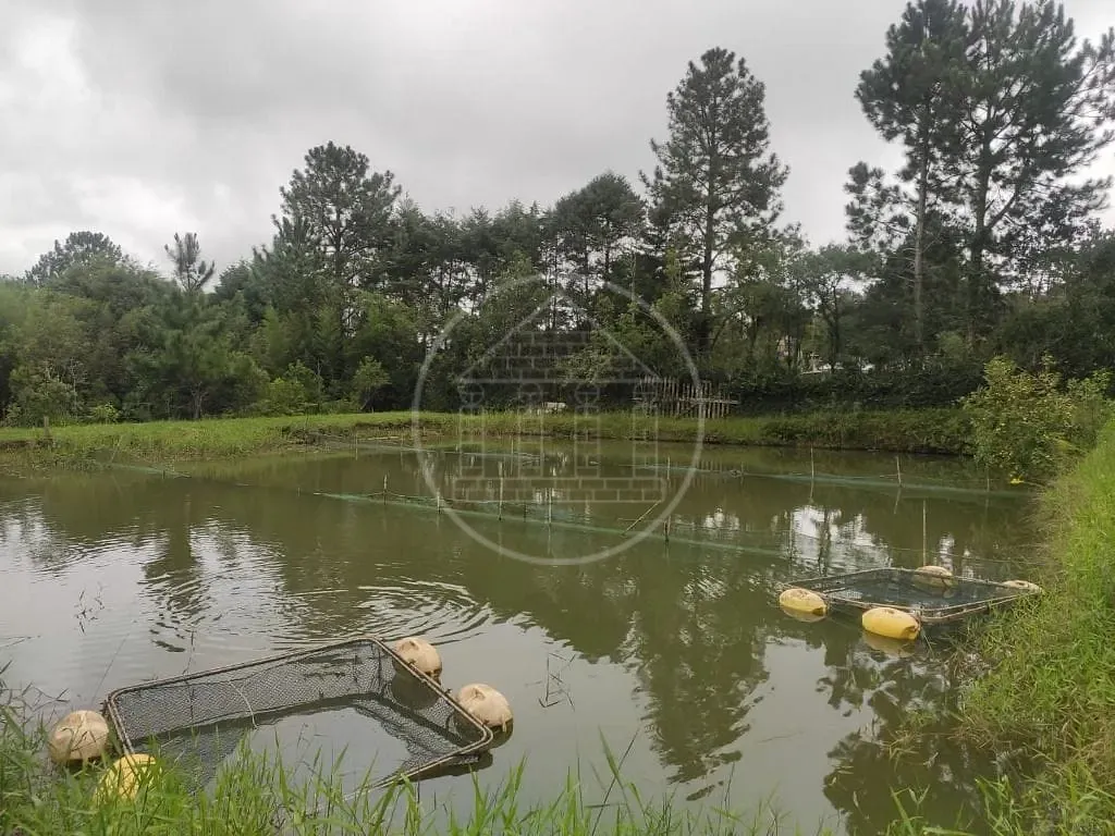Terreno, 1 hectares - Foto 6