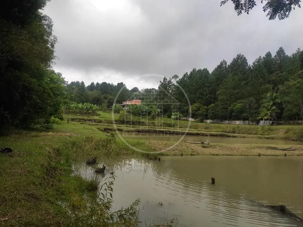 Terreno, 1 hectares - Foto 67