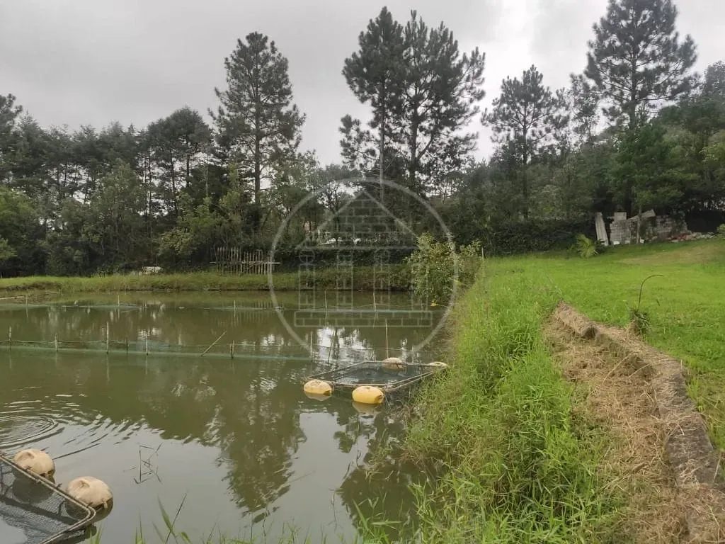Terreno, 1 hectares - Foto 7