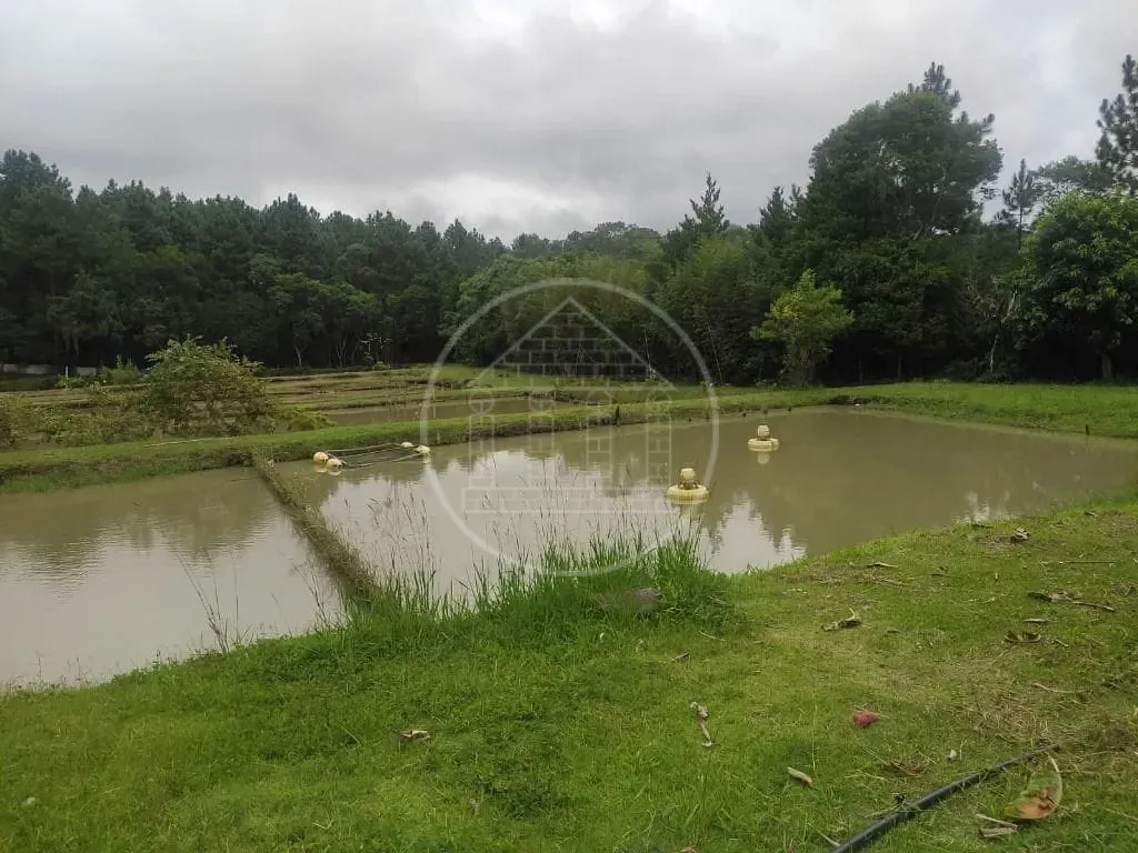 Terreno, 1 hectares - Foto 102