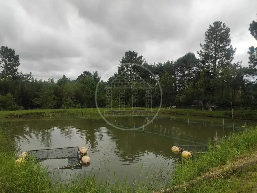 Terreno, 1 hectares - Foto 105