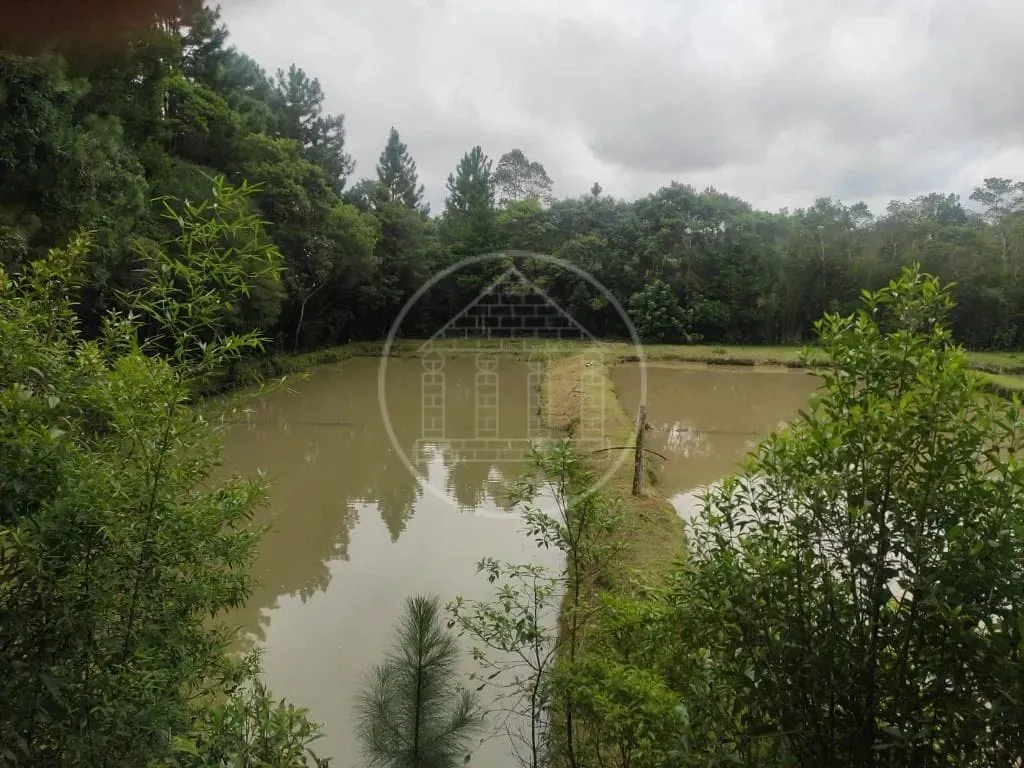Terreno, 1 hectares - Foto 44