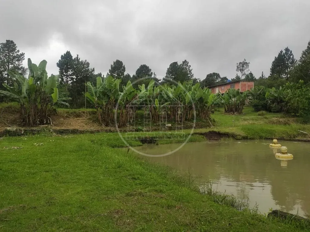Terreno, 1 hectares - Foto 33