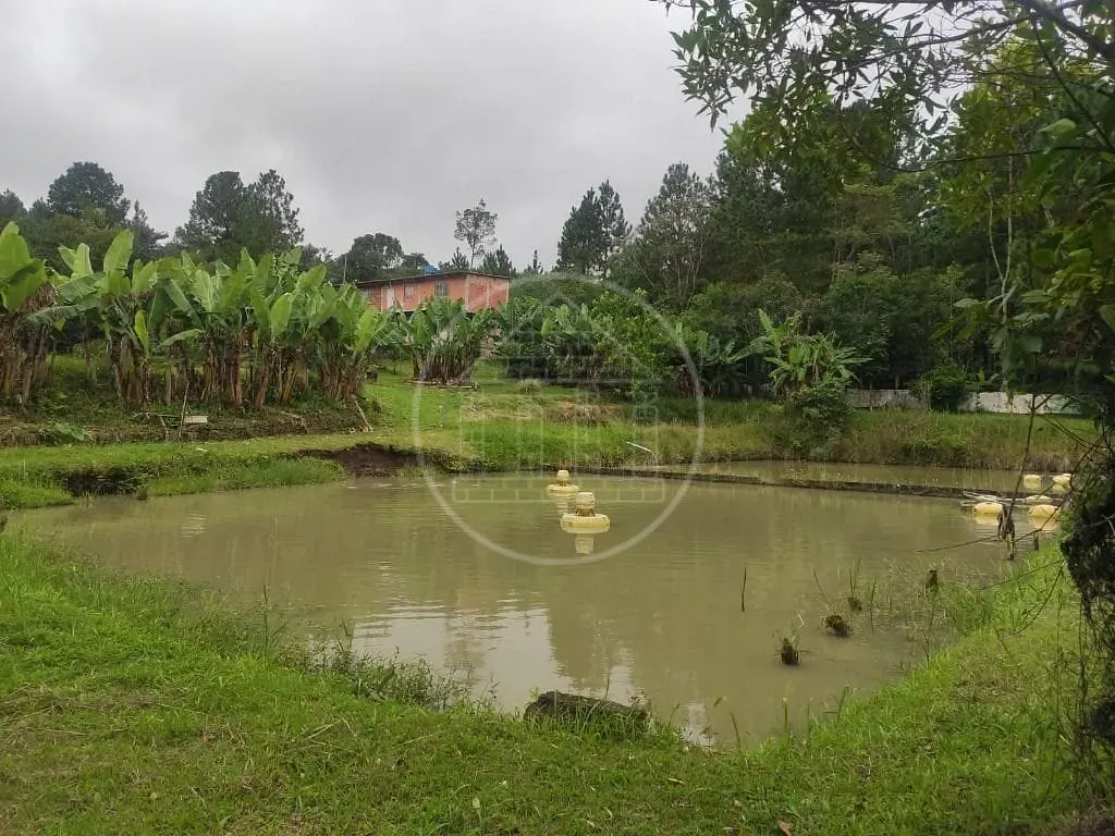 Terreno, 1 hectares - Foto 78