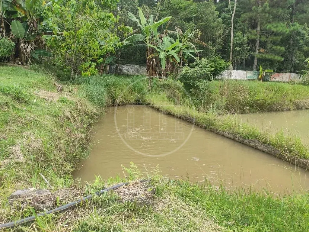 Terreno, 1 hectares - Foto 100