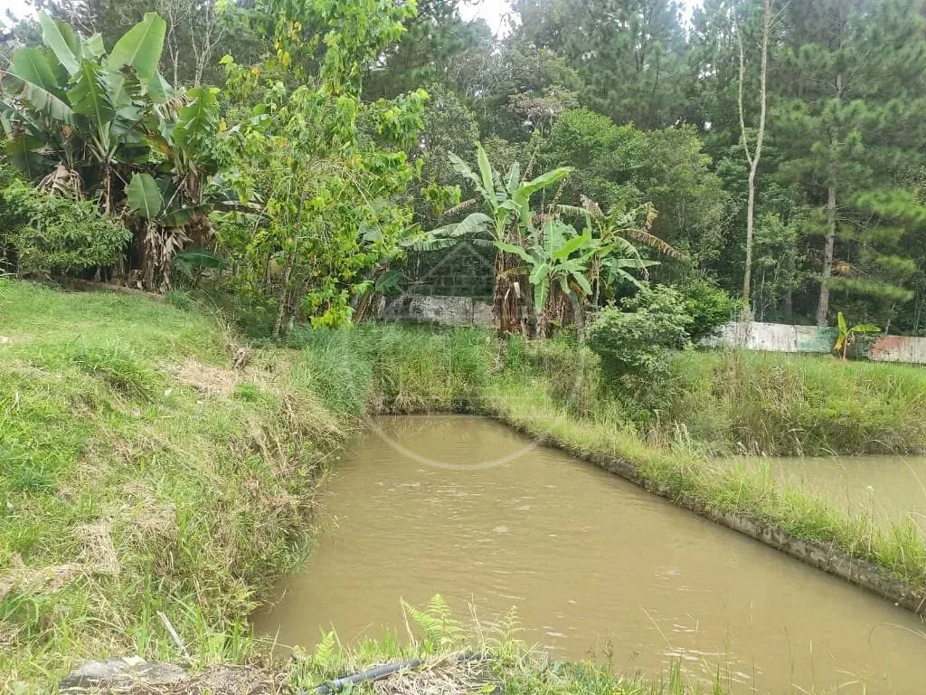 Terreno, 1 hectares - Foto 104