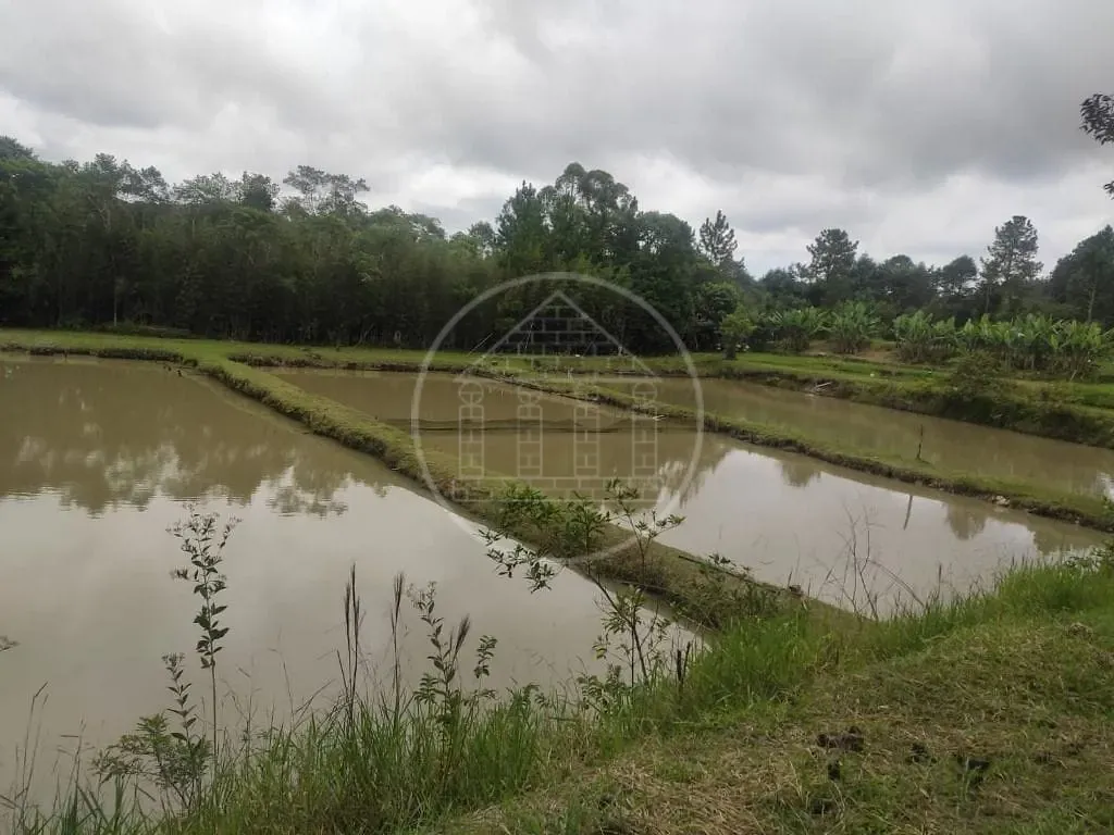 Terreno, 1 hectares - Foto 48