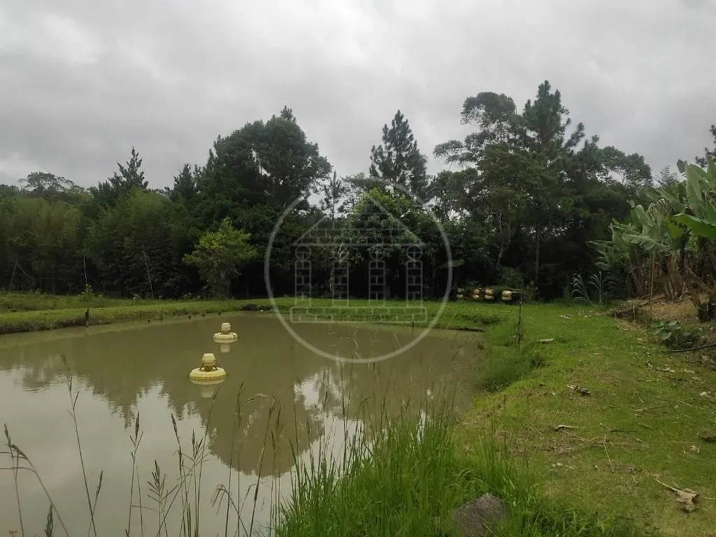 Terreno, 1 hectares - Foto 99