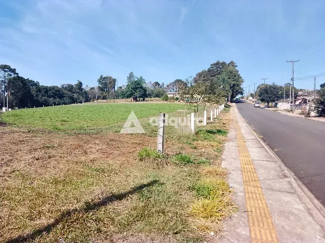 Terreno com 10050m², para alugar, no bairro Chapada em Ponta Grossa