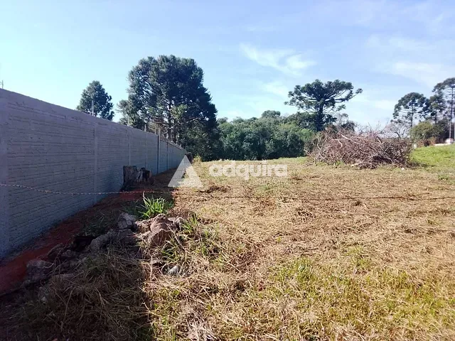 Terreno com 10050m², para alugar, no bairro Chapada em Ponta Grossa