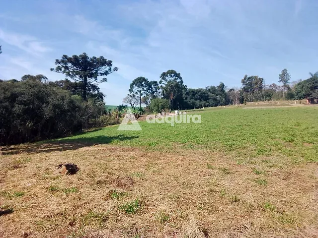 Terreno com 10050m², para alugar, no bairro Chapada em Ponta Grossa