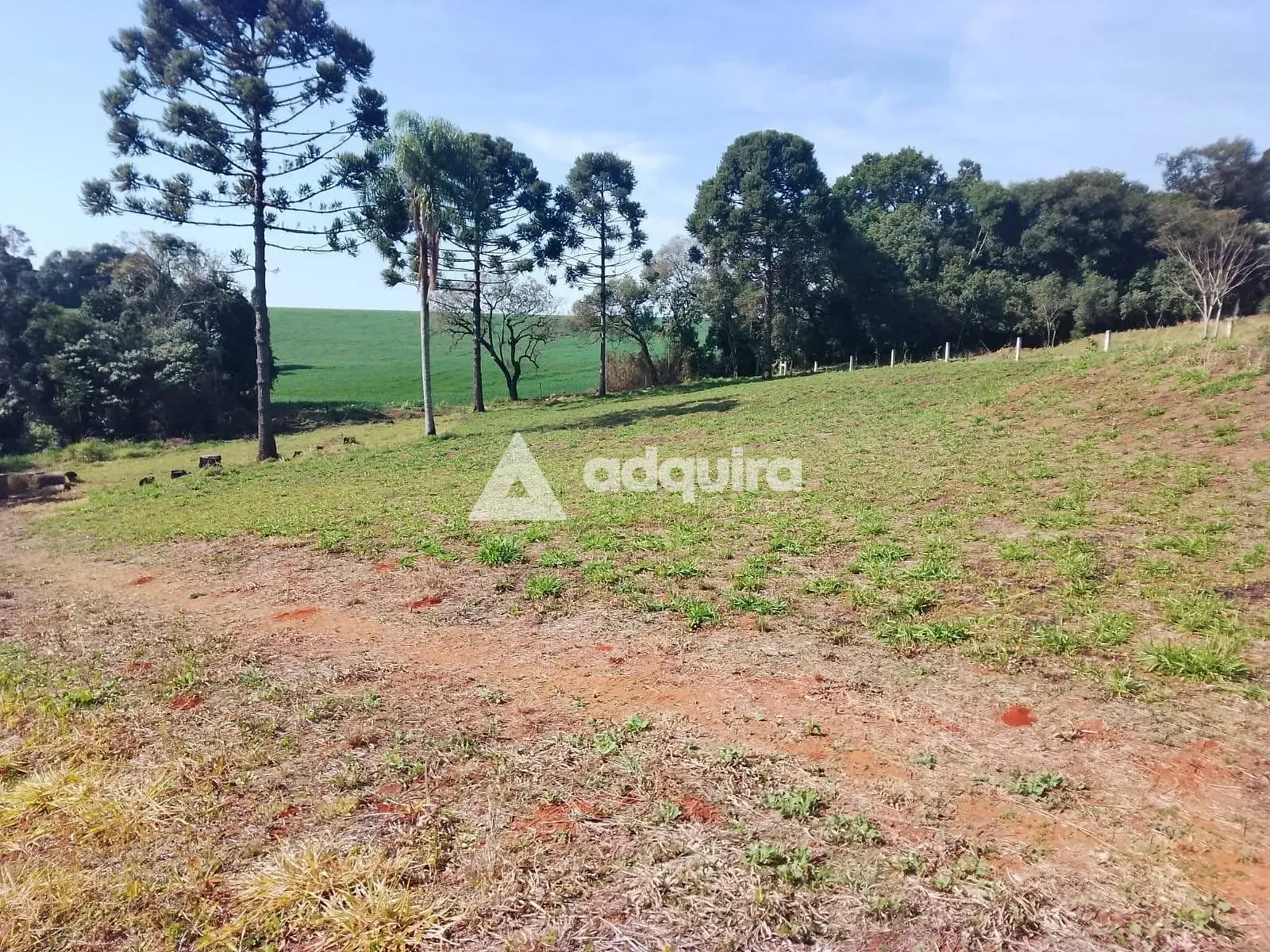 Terreno, 1 hectares - Foto 7