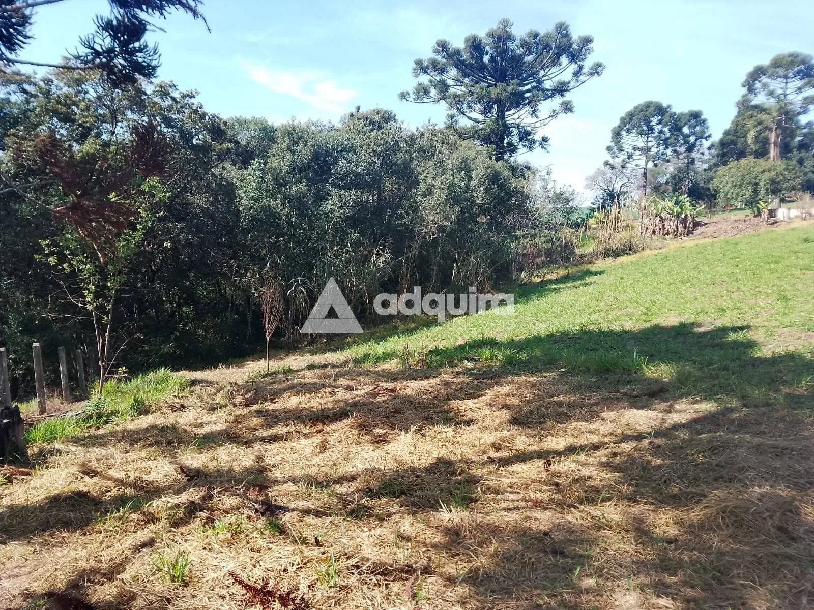 Terreno, 1 hectares - Foto 9