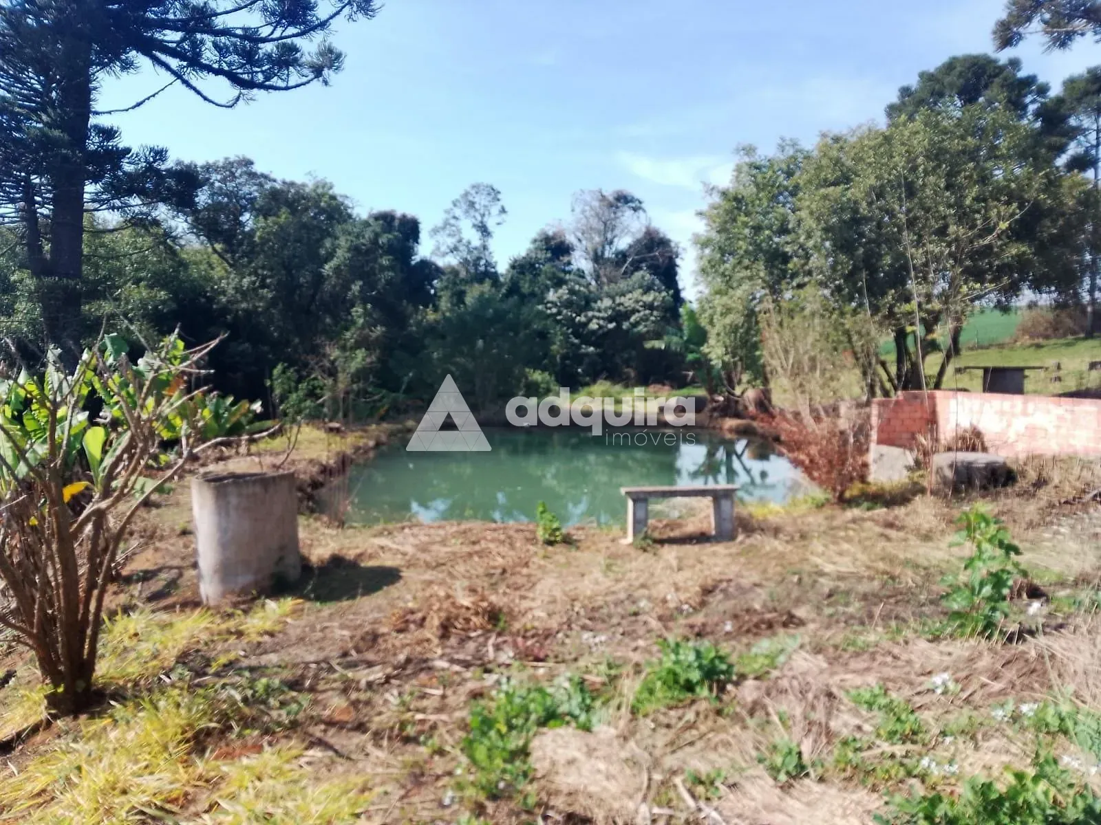 Terreno, 1 hectares - Foto 6
