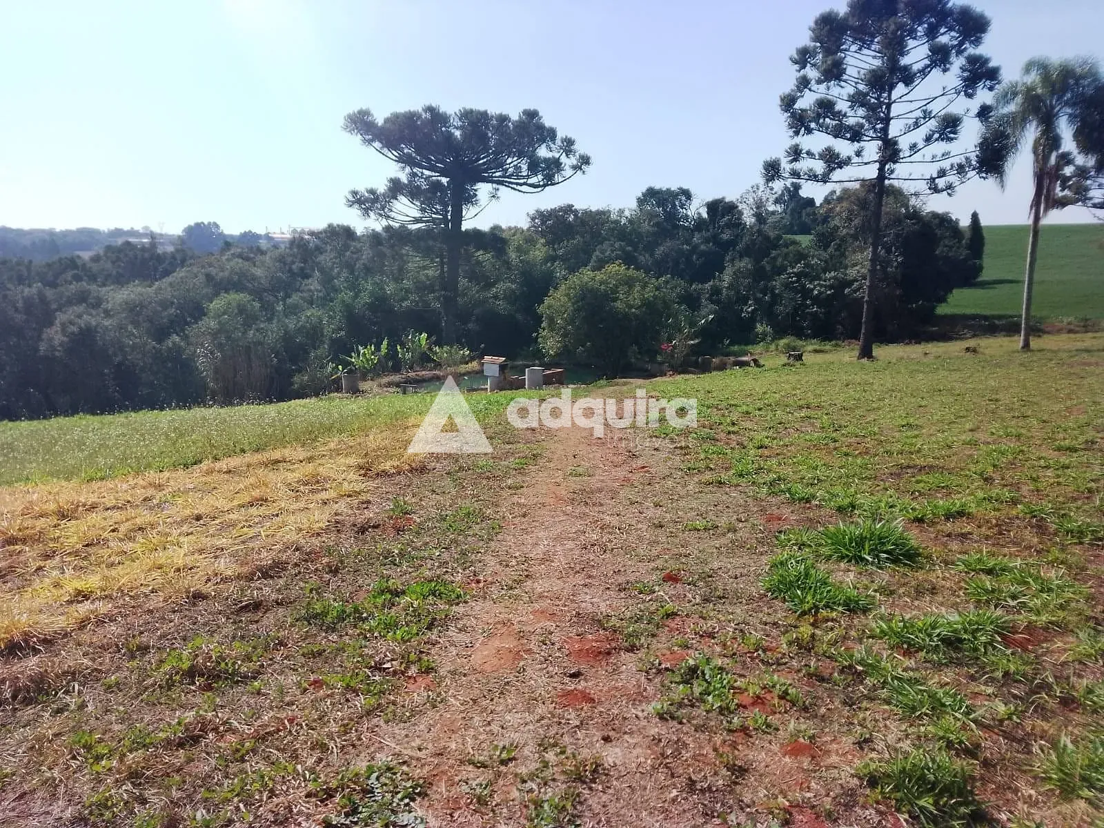 Terreno, 1 hectares - Foto 10