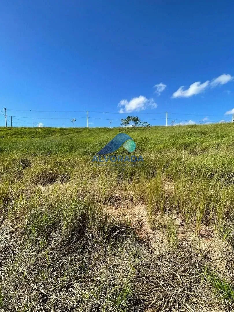 Terreno, 250 m² - Foto 3