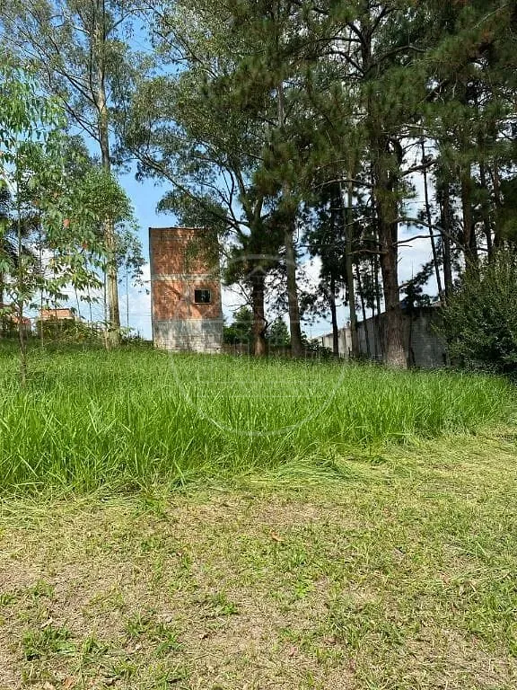 Terreno, 2 hectares - Foto 15