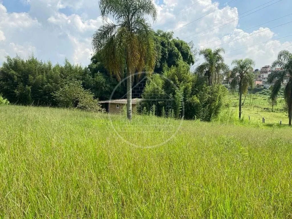 Terreno, 2 hectares - Foto 9