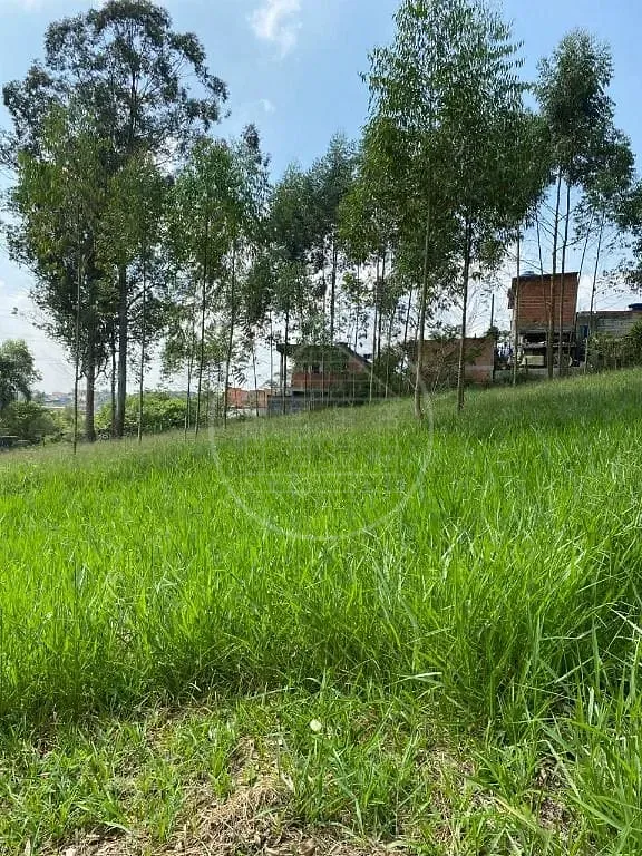 Terreno, 2 hectares - Foto 23
