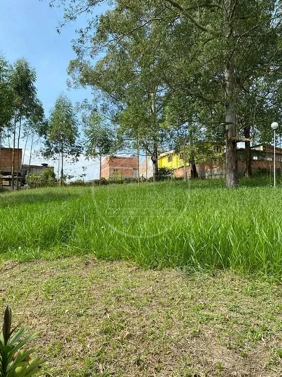 Terreno, 2 hectares - Foto 2