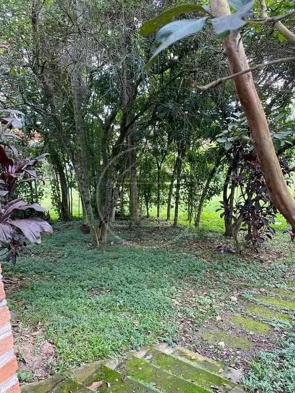 Terreno, 2 hectares - Foto 28