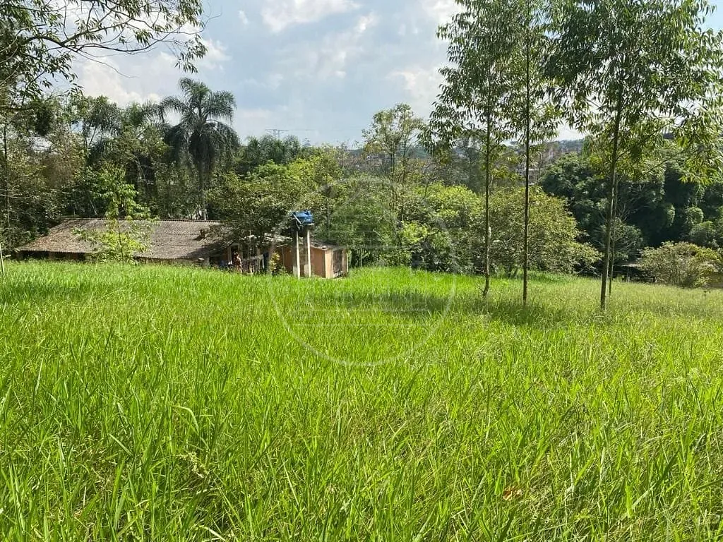 Terreno, 2 hectares - Foto 3