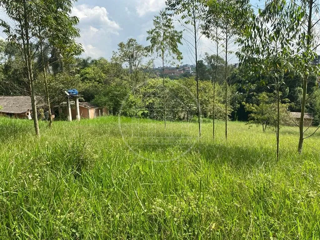 Terreno, 2 hectares - Foto 14
