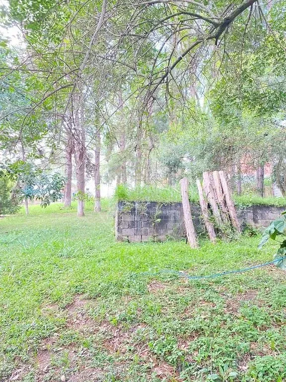 Terreno, 2 hectares - Foto 18