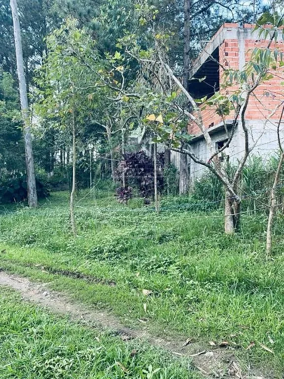 Terreno, 2 hectares - Foto 4