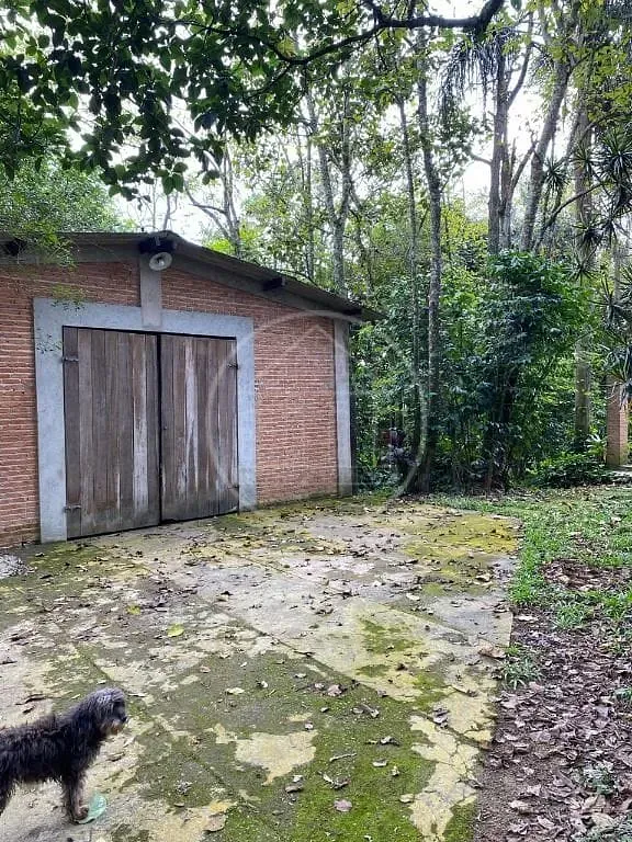 Terreno, 2 hectares - Foto 6