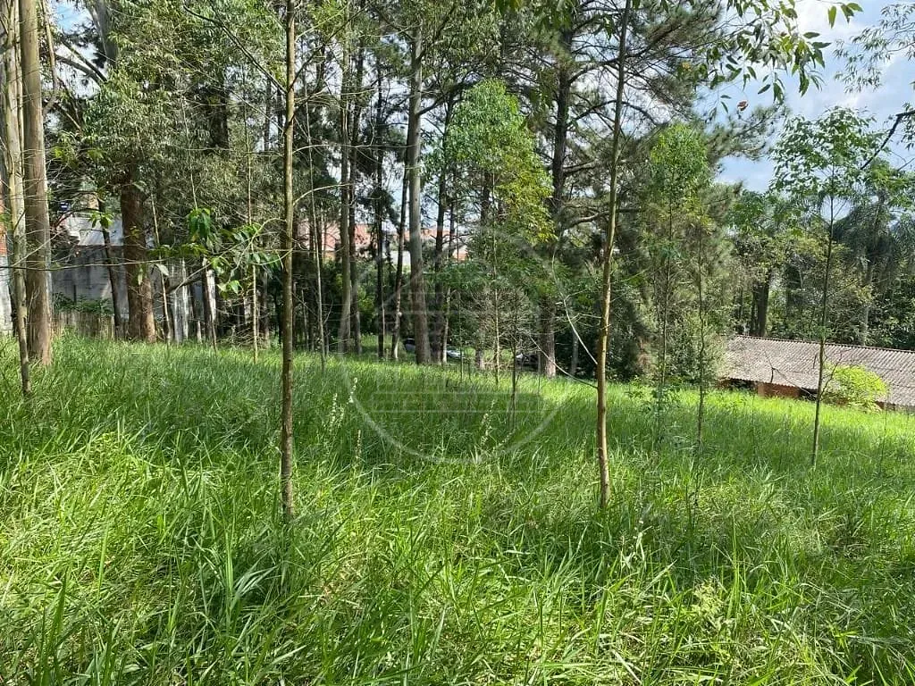 Terreno, 2 hectares - Foto 21