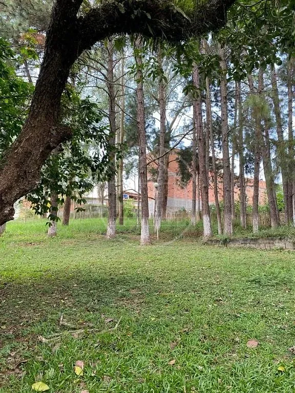 Terreno, 2 hectares - Foto 12