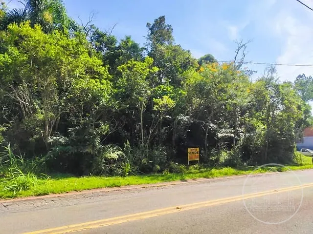 Terreno com 518m², à venda, no bairro Jardim Alviverde em São Paulo
