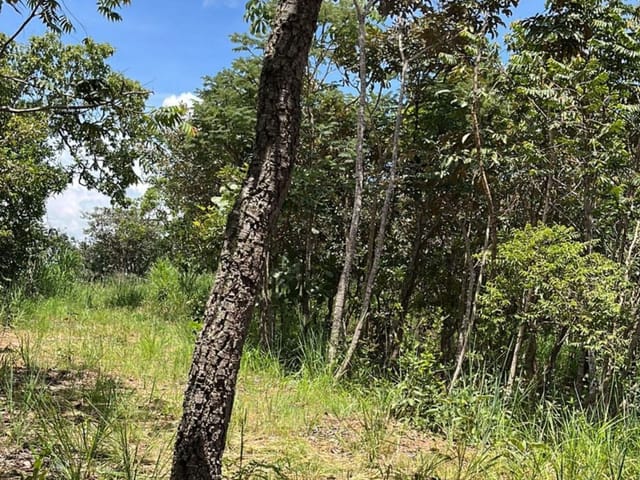 Foto do Terreno - Terreno à venda, 1424 m² por R$ 363.000 - Condomínio Ecológico Mansões Morumbi - Senador Canedo/GO | Portfolio Imóveis