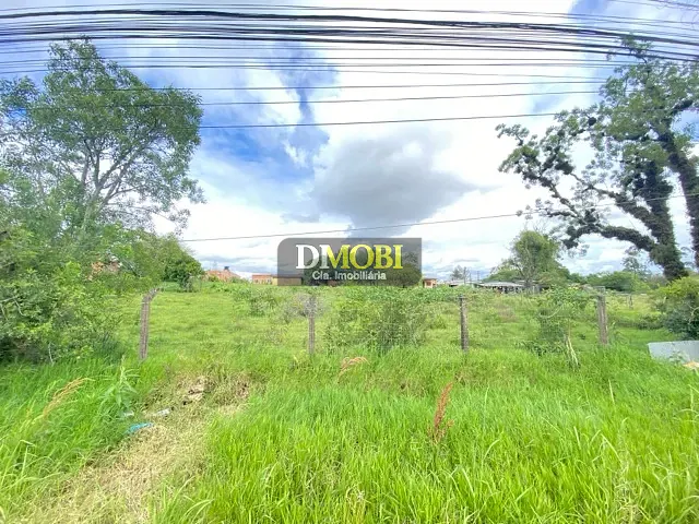 Terreno com 5000m², à venda, no bairro Dona Mercedes em Gravataí