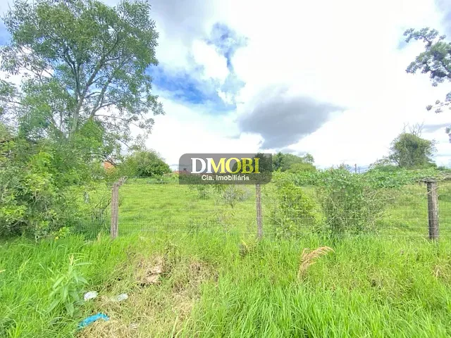 Terreno com 5000m², à venda, no bairro Dona Mercedes em Gravataí