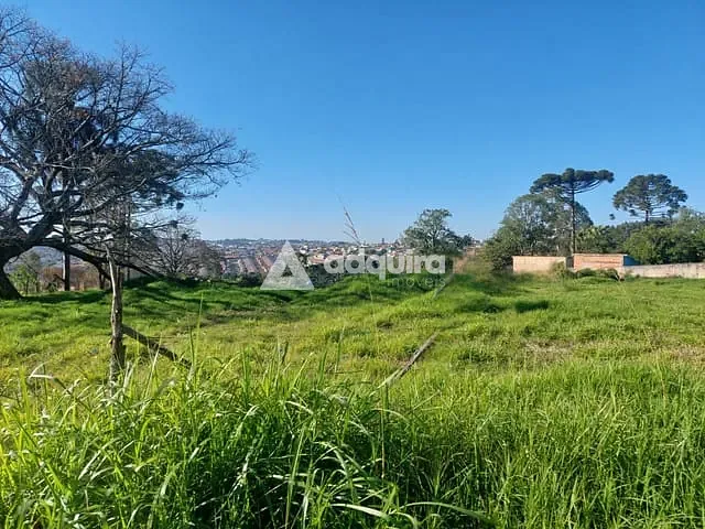 Terreno com 5000m², à venda, no bairro Contorno em Ponta Grossa