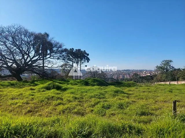 Terreno com 5000m², à venda, no bairro Contorno em Ponta Grossa