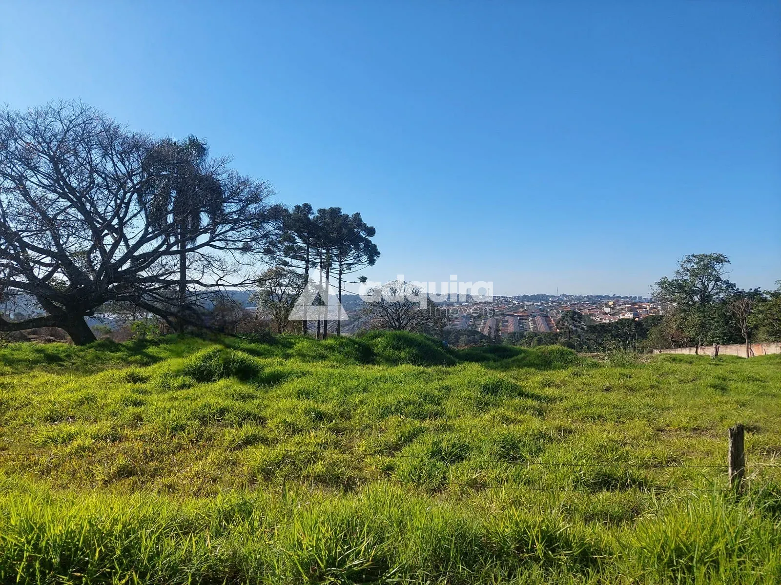 Terreno, 5000 m² - Foto 1