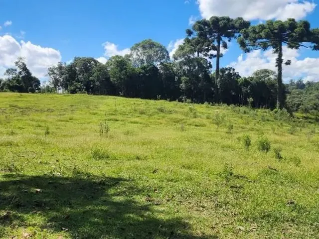Terreno à venda, no bairro Jardim Bela Vista em Campo Largo
