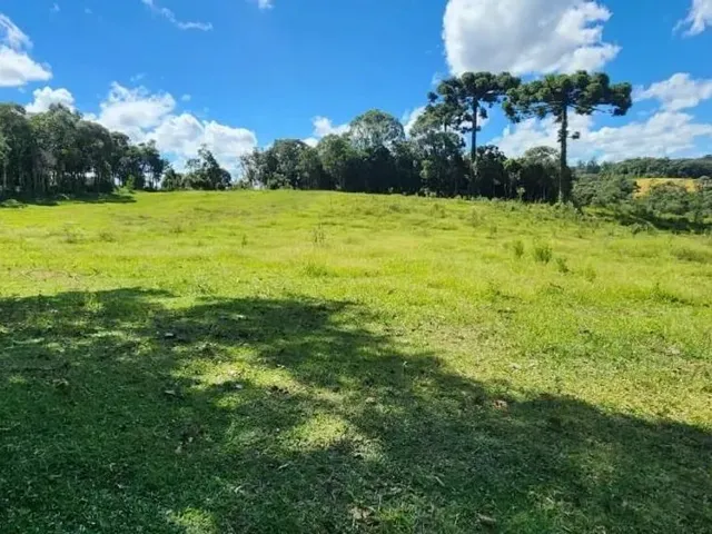 Terreno à venda, no bairro Jardim Bela Vista em Campo Largo