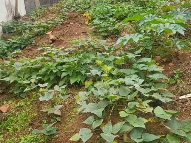 Terreno com 180m², à venda, no bairro Loteamento Residencial Terra Nova em Itatiba